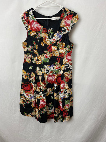 Image for Miracle Womens Dress Size 10